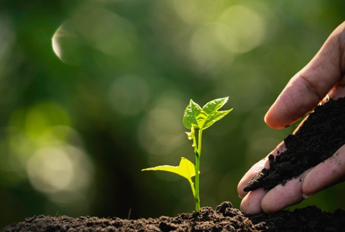 Curso gratuito sobre práticas agrícolas sustentáveis está