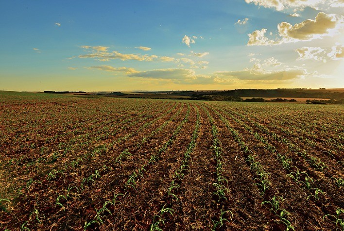 Agricultura Cresce No Cerrado Desde E Ocupa Rea Maior Que O