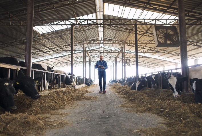 Tecnologia na Pecuária Leiteira Portal do Agronegócio