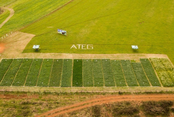 Dia De Campo Marcado Por Conhecimento E Troca De Experi Ncia Sobre