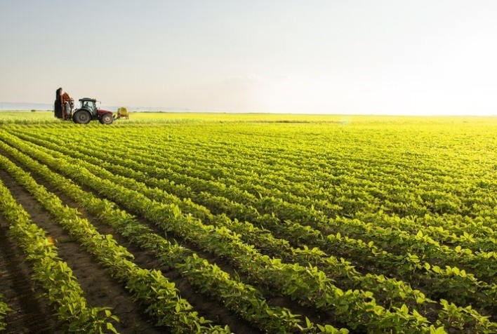 Valor Da Produ O Agropecu Ria De Estimado Em R Trilh O