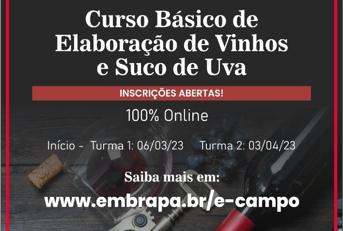 Embrapa lança nova edição do curso online de Elaboração de vinhos e