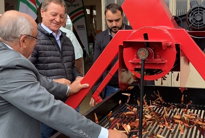 Secretaria Da Agricultura Destina R Mil Para Incentivar A Colheita