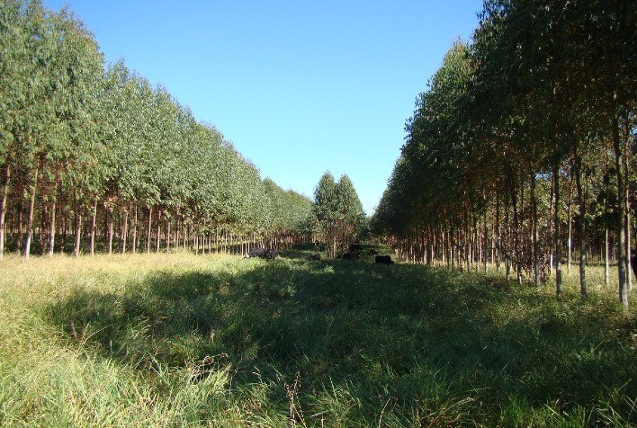 Semin Rio De Pol Ticas P Blicas Para O Setor Rural Aborda Agricultura