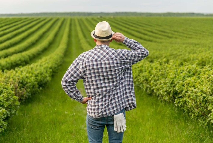 Os Impactos Do Endividamento Do Agro Sobre Os Fornecedores Portal Do