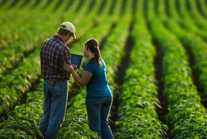 Geração de empregos no AGRO se mantém em janeiro Portal do Agronegócio