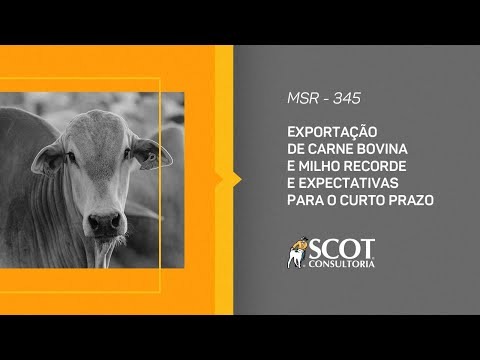 Exporta O De Carne Bovina E Milho Recorde Tv Scot Consultoria