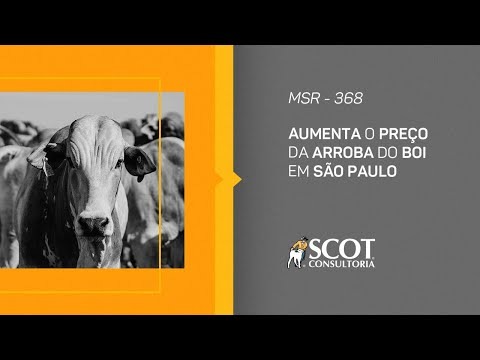 Aumenta O Pre O Da Arroba Do Boi Em S O Paulo Tv Scot Consultoria