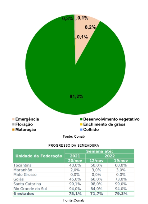 Sc Est Semeadura Do Arroz Praticamente Finalizada Portal Do