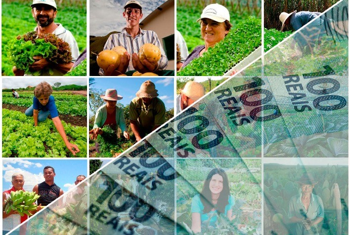 Banco do Nordeste disponibiliza R$ 3,5 bilhões para agricultura familiar -  Portal do Agronegócio