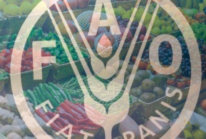 FAO: preço dos alimentos segue em alta e - ao menos desta vez - carne de frango acompanha