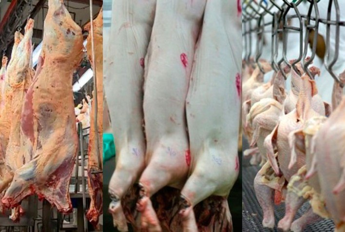 Desempenho exportador das carnes na 2ª semana de setembro e no acumulado do mês