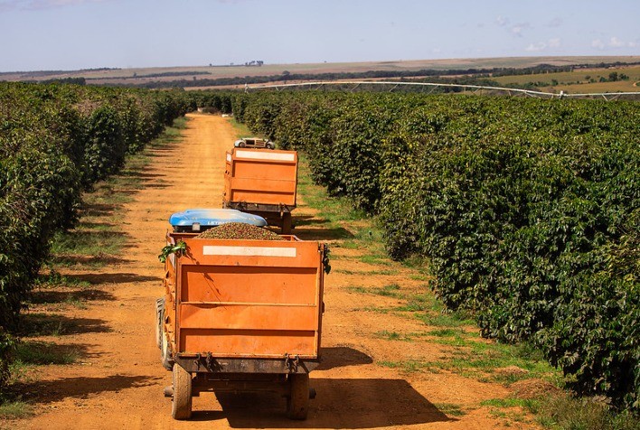 Casa do Construtor - SINOP / MT - O perfurador de solo é indicado para  perfurações em plantio, cultivo de hortaliças, plantas (mudas) e  instalações de mourões. Permite o uso de brocas