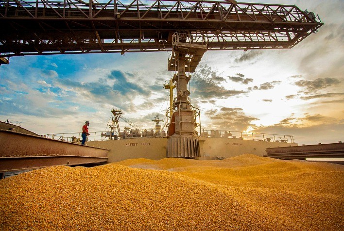 Anec eleva para 5,24 mi t previsão de exportações de milho do Brasil em outubro