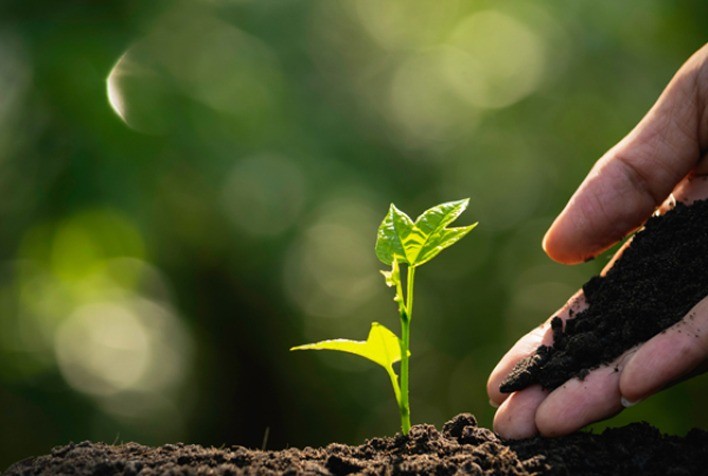 Caminhos para o financiamento da agricultura sustentável no Brasil - Câmara  de Comércio França-Brasil