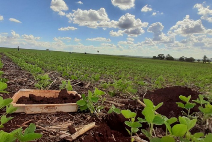 Cresce número de agricultores com acesso ao seguro rural