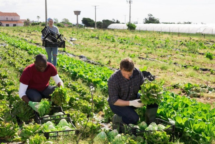 Cresce número de agricultores com acesso ao seguro rural