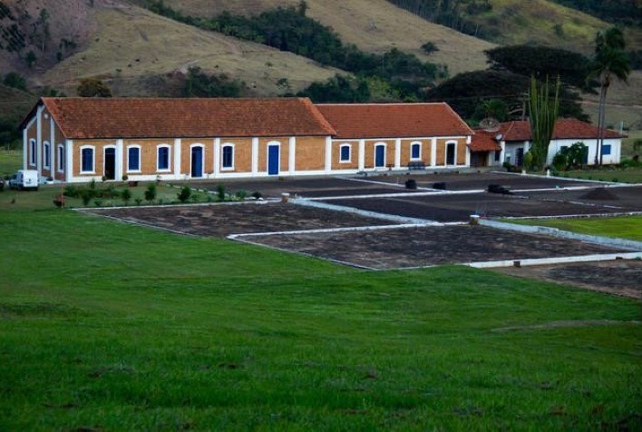 Associação Internacional de Ecologia Feminina