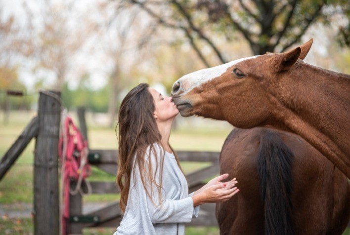 Compreender a linguagem dos cavalos