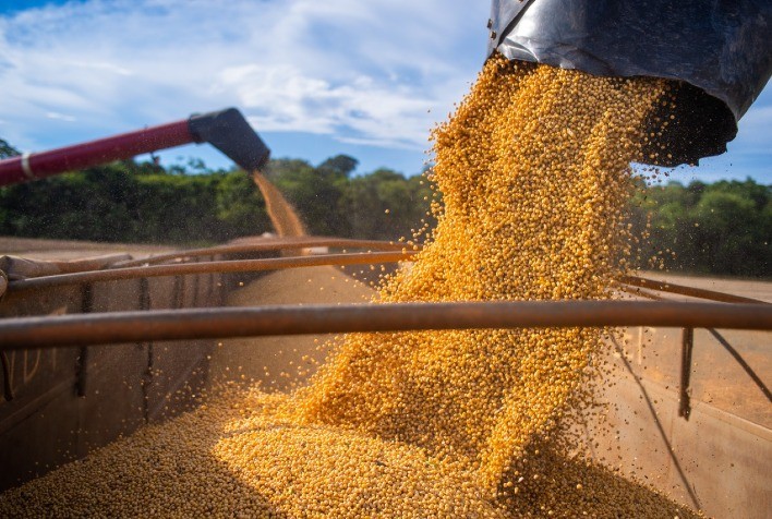 DATAGRO Grãos eleva estimativa da safra 2022/23 de soja do Brasil para 153,70 mi de t