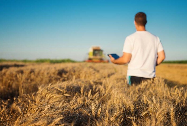 Entre 2019 e 2022 a taxa de formalidade no agro alcançou 40,1%