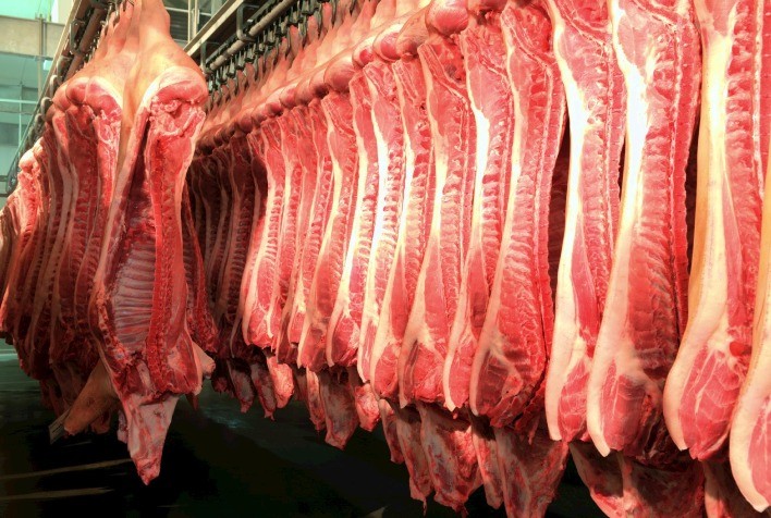 Santa Catarina amplia exportações de carne suína no primeiro trimestre de 2023