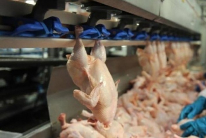 Carne de frango: China e África do Sul lideraram as importações do primeiro trimestre de 2023