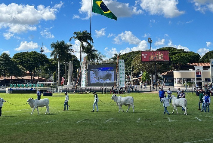 Semana do Zebu apresenta lives com foco nos leilões da 86ª ExpoZebu