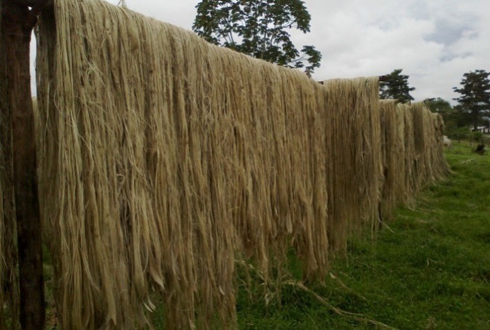 CNA debate iniciativas para o desenvolvimento da cadeia produtiva de fibras naturais