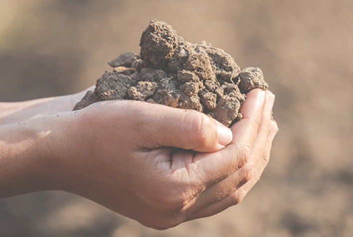 Uso de biofertilizantes deve crescer 20%