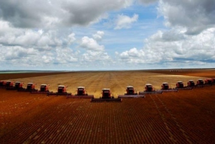 Estado do Mato Grosso lidera produção nacional de grãos