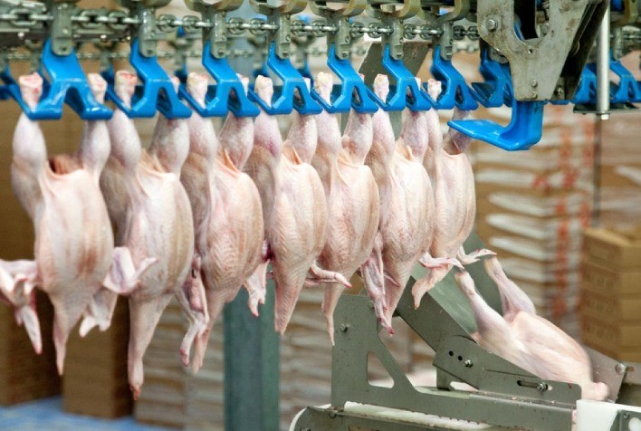 Brasil reforça defesa contra a gripe aviária para proteger a maior indústria exportadora de frango do mundo