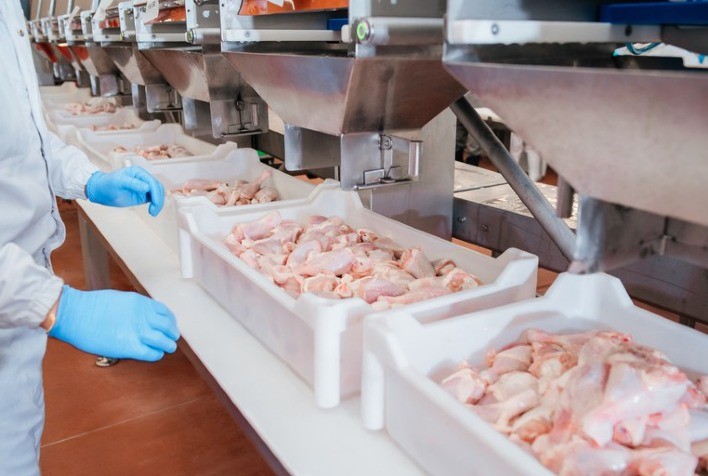 Após cinco meses, cortes de frango voltam a superar o preço do frango inteiro na exportação