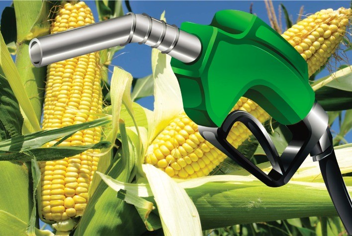 Clipping 1ª Edição: Estímulo Dos EUA A Biocombustível Abre Mercado Para O  Brasil - Ubrabio