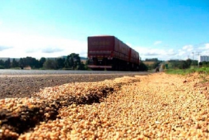 Deficiências logísticas causam prejuízo de mais de R$ 40 bilhões ao setor de soja e milho no Brasil