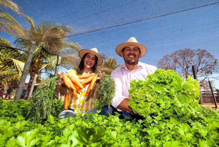 Extensão Rural e Agricultura Familiar: Caminhos para um Brasil Mais Sustentável e Inclusivo