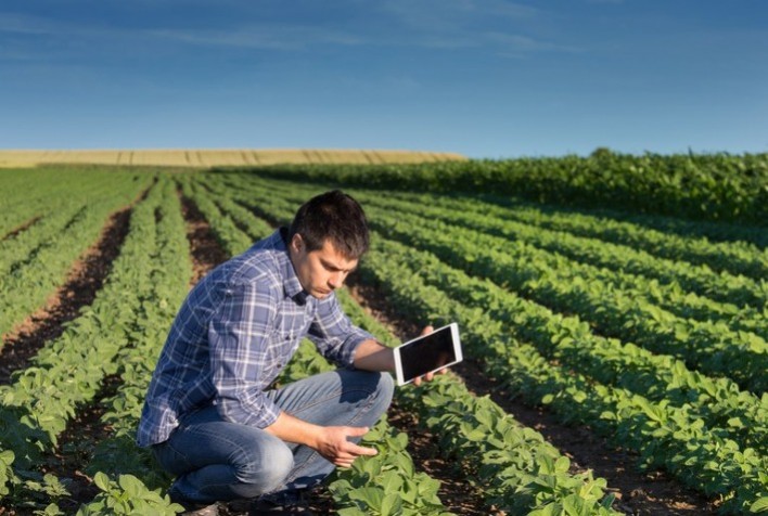 Oportunidade Para Startup Desenvolver Tecnologias Sustentáveis Na ...