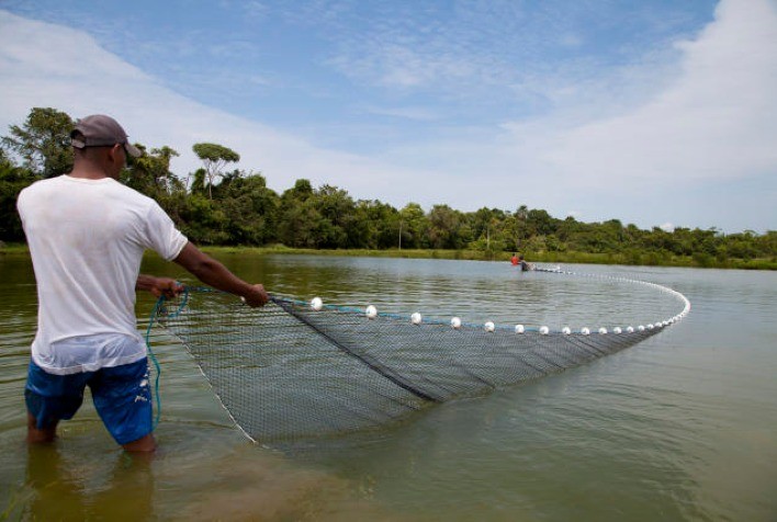Piscicultura Em água Doce é Mais Acessível E Sustentável Barra News 2781