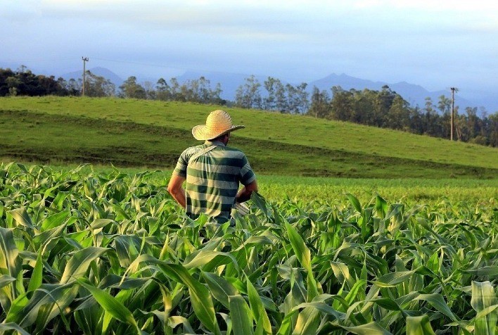 17/10 Dia Da Agricultura - Tecnologias Ajudam A Reduzir Custos E Levam ...