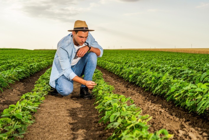 Cultivando O Futuro: A Importância Do Engenheiro Agrônomo Na Criação De ...