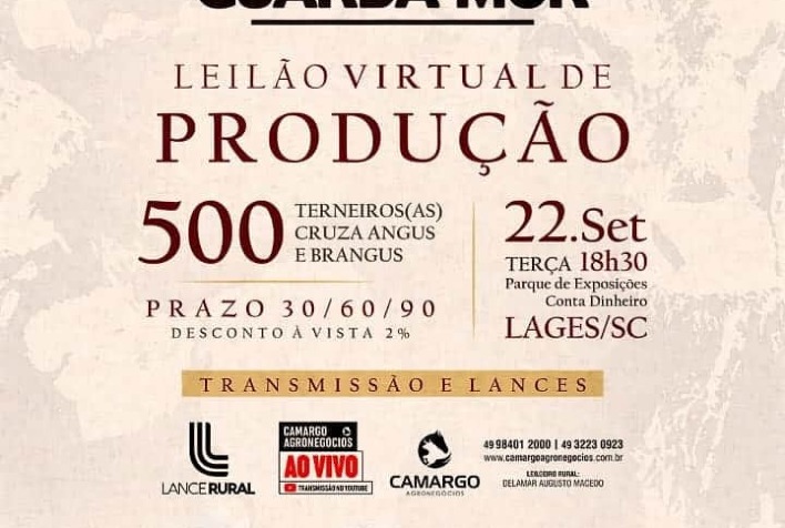 Leilão Virtual de Produção Guarda-Mór, AO VIVO: Leilão Virtual de Produção  Guarda-Mór Acompanhe ao vivo ao Leilão Virtual de Produção Guarda-Mór, com  500 terneiras e terneiros de cruza Angus