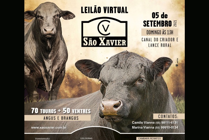 LIVE DIA DE CAMPO VIRTUAL REMATE CP PRODUÇÃO 