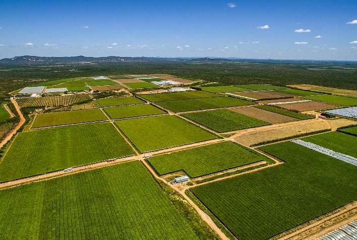 Digitalização No Campo: Como A Tecnologia Pode Ser Aliada à Segurança ...