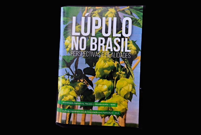 PDF) Análise da situação da produção de etanol e biodiesel no Brasil