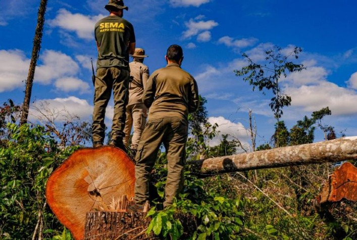 Multa Por Infração Ambiental Pode Chegar A R＄ 5 Bilhões Para Situações De Desastre Portal Do