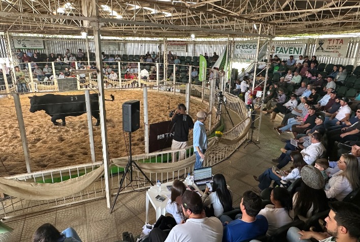 Gado Geral – São Francisco de Assis-RS – Bc Remates