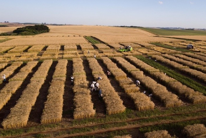 Colheita de inverno e preparativos para safra de verão são destaques da Globo  Rural - Revista Globo Rural