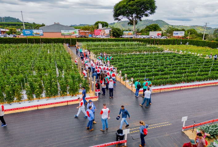 SunPatiens é destaque em eventos do interior paulista – Sakata Seed  Sudamerica