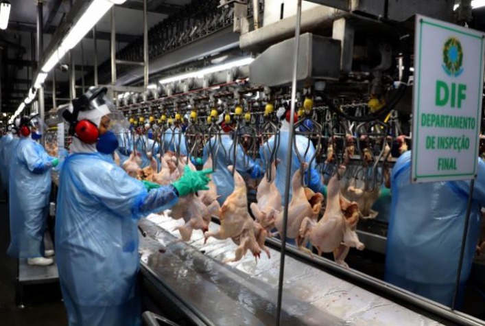 Na exportação, carne de frango in natura fechou 2023 valendo 5% menos que há 10 anos