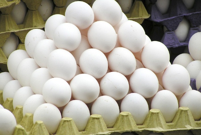 Reação no mercado de ovos: Preços retornam ao patamar positivo